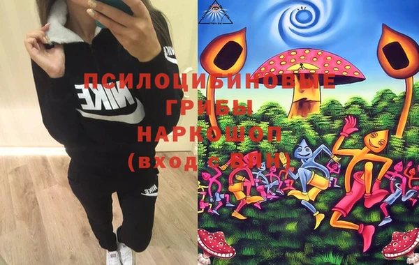 apvp Верхний Тагил