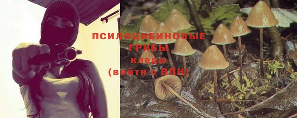 apvp Верхний Тагил